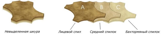 лицевая кожа что это. Смотреть фото лицевая кожа что это. Смотреть картинку лицевая кожа что это. Картинка про лицевая кожа что это. Фото лицевая кожа что это